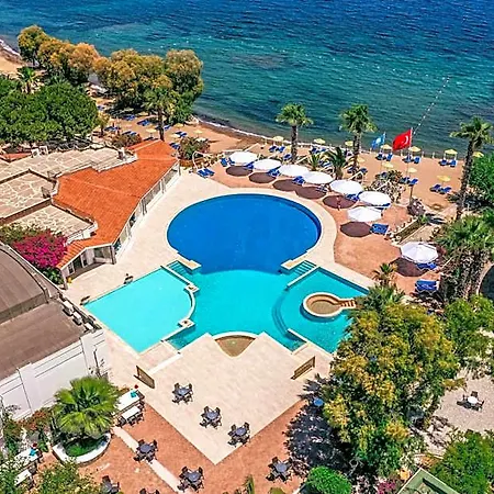 Club Muskebi Ортакент
