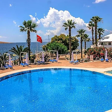 Club Muskebi 4*
